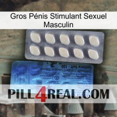 Gros Pénis Stimulant Sexuel Masculin 34